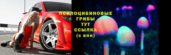 гидра Баксан
